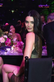 Sexy Kendall Jenner Photo